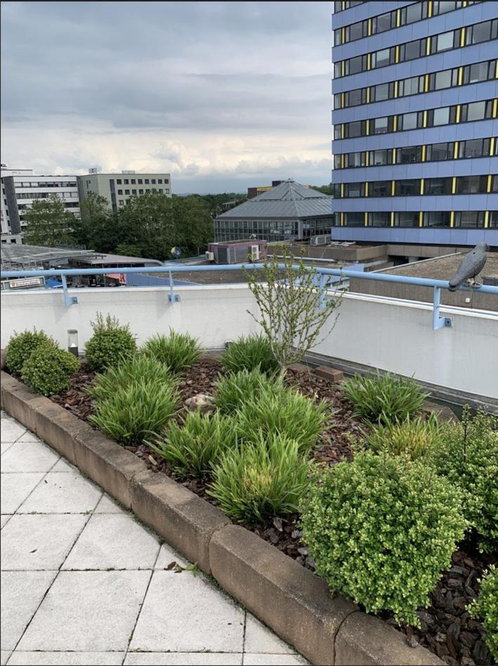 Central Leverkusen Apartment: Two-Bedroom Comfort with Dual Balconies Exterior photo